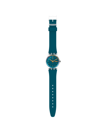 Montre Swatch Bleu Extérieur