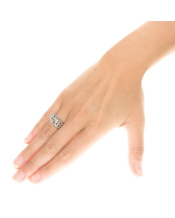 Ring of the Noble Stardust Dome in Silver