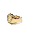 Bague Chevalier pour Homme en Or Jaune avec Lion Ailé