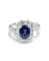 Crivelli Ring in White Gold with Diamonds and Oval Sapphire