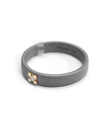 Antaeus Ring in Titanium with Gold and Diamond