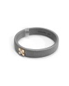 Antaeus Ring in Titanium with Gold and Diamond