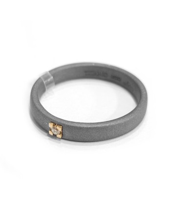 Antaeus Ring in Titanium with Gold and Diamond