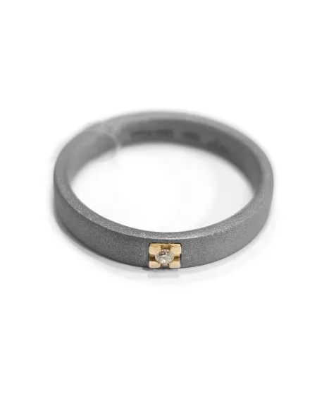 Fede Anteo in Titanio con Oro e Diamante