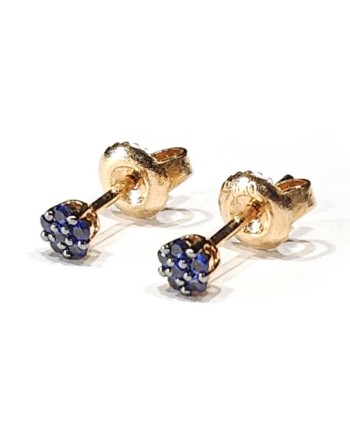 Crivelli Earrings in Rose Gold and Sapphires