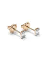 Crivelli Earrings in Rose Gold with White Diamonds