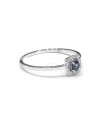 Crivelli Ring in White Gold with Diamonds and Sapphire