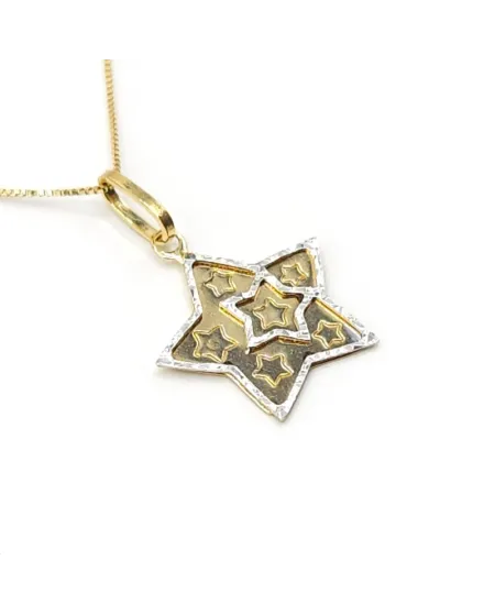 Girocollo Casella Gioielli in Oro Bicolore con Stella