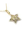 Girocollo Casella Gioielli in Oro Bicolore con Stella