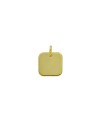 Luiber Charm in Gold Square Plate