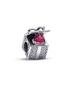 Pandora Charm Sparkling Gift Box
