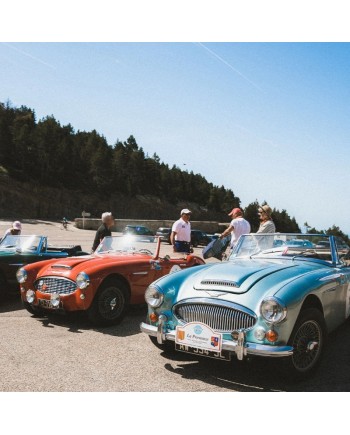 Cronografo Frederique Constant Vintage Rally Healey Limited Edition