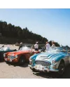 Chronographe Frederique Constant Vintage Rally Healey Édition Limitée