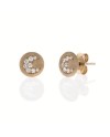 Eclat Icegold Silver Stud Earrings with Natural Moonstones